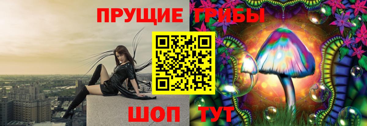 Псилоцибиновые грибы мухоморы Волжский