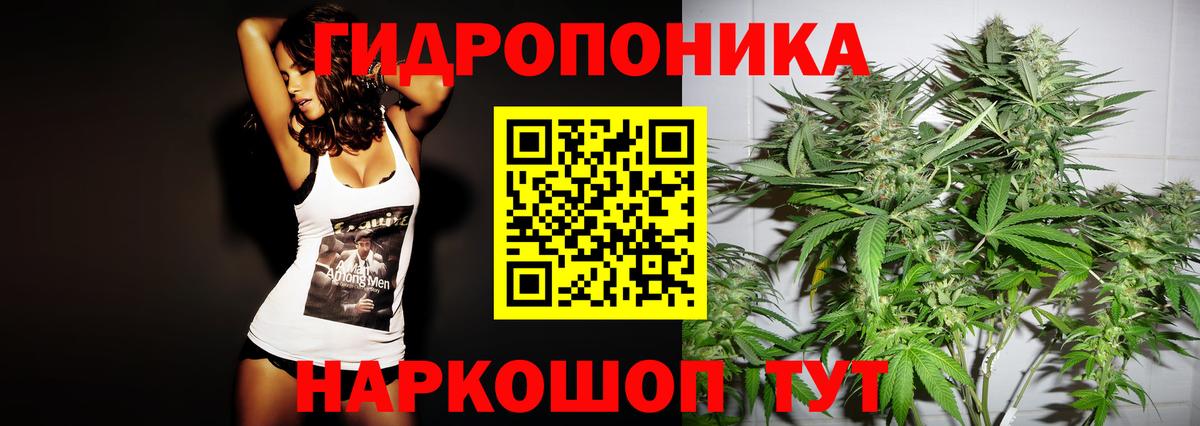 Канабис план Волжский